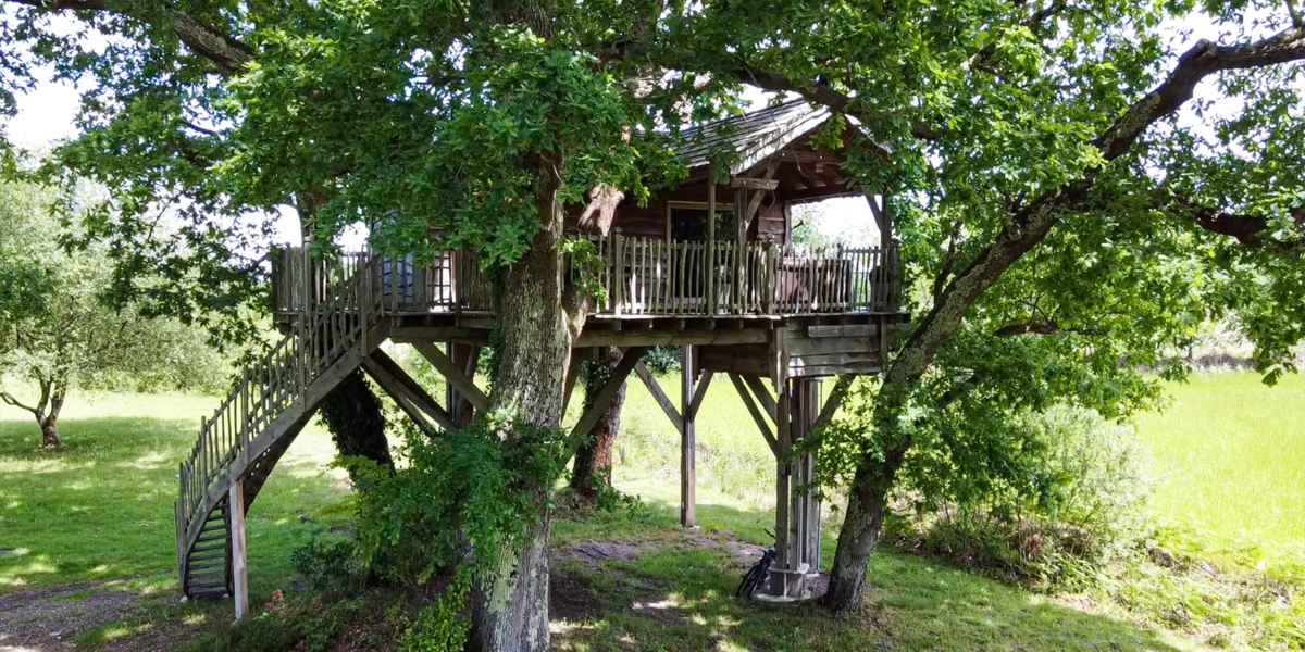 Cabane Dans Les Arbres Rion Des Landes